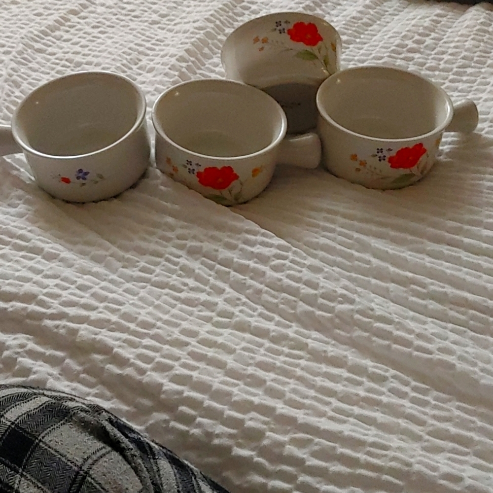 Set of 4 Northland ramekin set